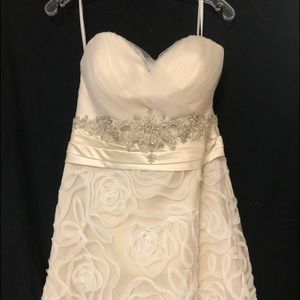 Never worn wedding dress